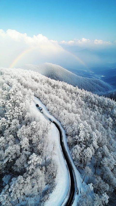 北海道冬日之旅:步入冰雪仙境