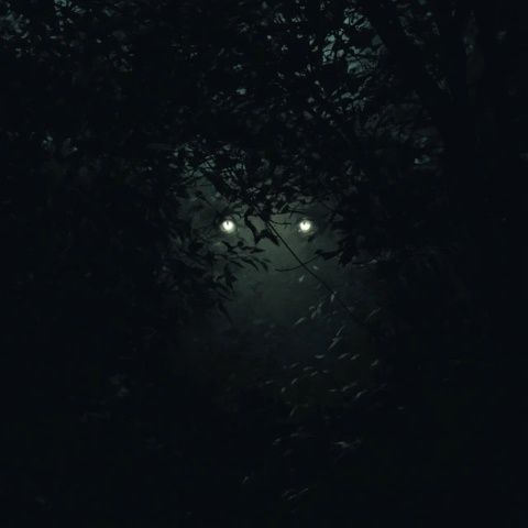 燈火闌珊處，夜色正濃時
