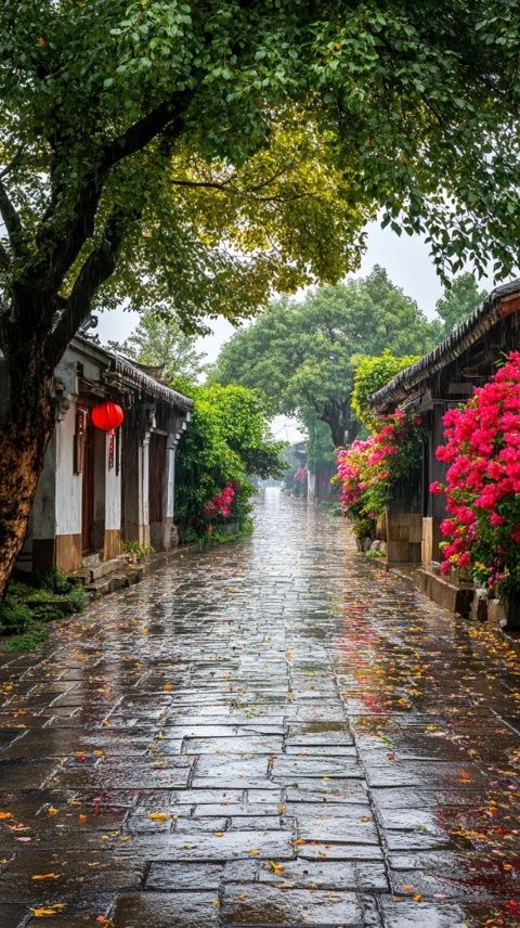 楓涇古鎮(zhèn)走一走