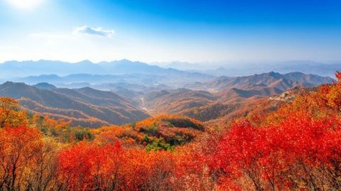 來到大南山觀看完山上的美景
