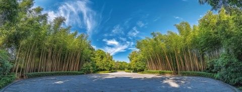廣東周邊游|避暑必去的古兜溫泉小鎮！