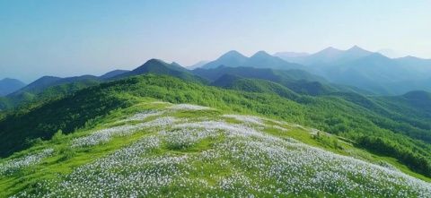 山西右玉：黃花飄香的地方，一個隱藏在塞北的小城，美的低調卻讓人心動
