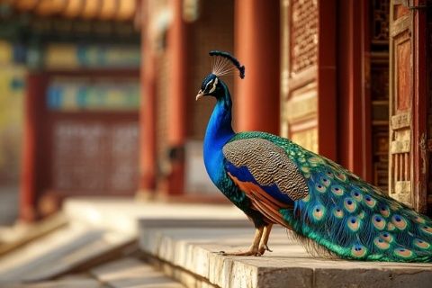 北京一日游：從天壇西門到大柵欄的古韻與美食之旅