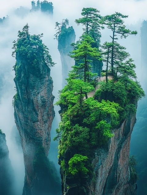 如果沒人知道浙江這座海島我會很失望的