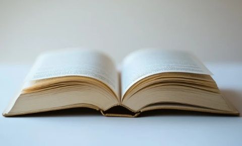 揭秘棒球知識:一場關(guān)于棒球的常識盛宴