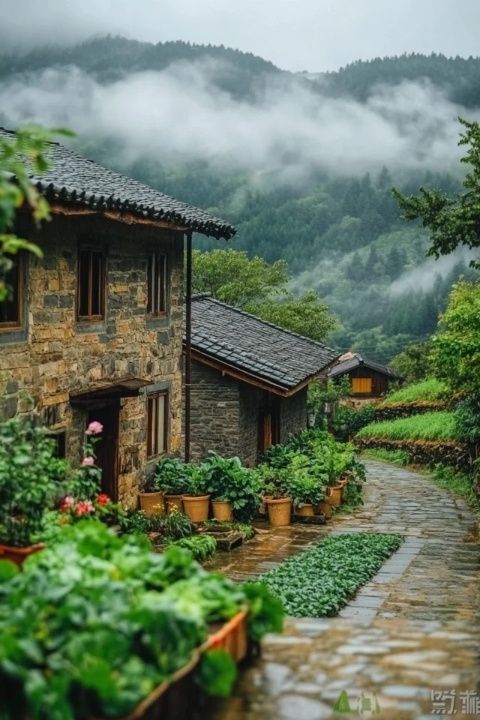 福建土樓旅游攻略,趣味滿滿等你來探索!