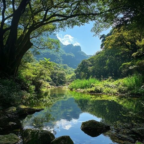 五一假期徒步攻略:廣州火爐山夏日探險記