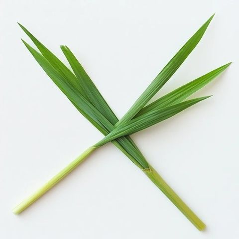 記一次意外的綠色美食之旅吃草也能如此美味?
