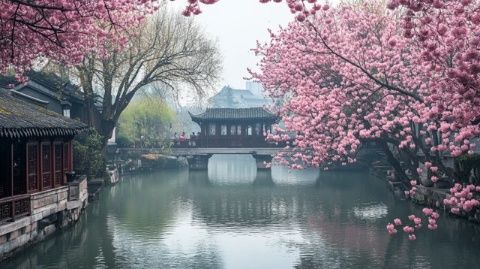 今天下午，我本來是想去道外老鼎豐買些糕點(diǎn)，順便溜達(dá)一下