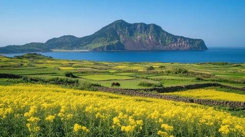 墾丁旅游全攻略:熱門(mén)景點(diǎn)、美食住宿一網(wǎng)打盡!