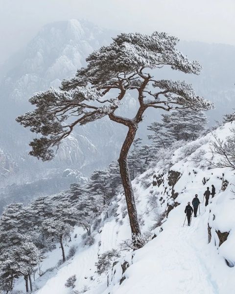 宜興黃塔頂冬季徒步探險:挑戰自我,盡享江南雪域風光