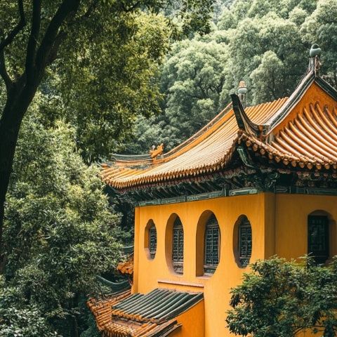 廈門必游60景：不可錯過的文藝小確幸之旅
