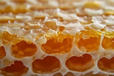 關于蜜蠟的保養禁忌(蜜蠟的保養常識和禁忌)