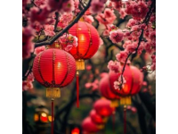 今天出去轉(zhuǎn)了一圈，發(fā)現(xiàn)佛山的過(guò)年氣氛搞起來(lái)了，花市開(kāi)了，美食節(jié)同行