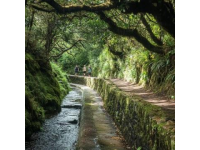 絕美山水棧道探秘！親子徒步之旅，不可錯(cuò)過(guò)的選擇！