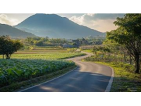 探索洛陽澗西區(qū)淺井頭九都路——初綻的新晉超市潛力無限