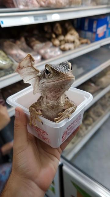 帶你走遍全世界:外伶仃島海鮮美食之旅