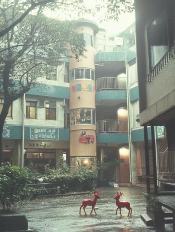 逸定樓·冬菇冰室美食攻略:街邊小吃與港式大排檔