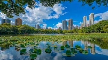 南京白鷺洲公園(南京小眾景點7)