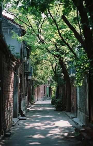 蘇州必游經(jīng)典路線：拙政園、博物館到周莊古鎮(zhèn)一日游攻略
