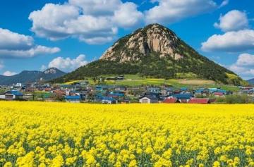 探索韓國濟州島:自然風味下的酸甜辣美食之旅