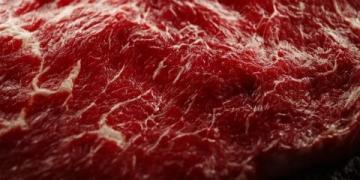 掌握西餐選肉秘籍:揭秘牛排等級與大理石紋路背后的藝術