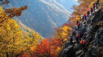 九皇山景區游玩指南:賞紅葉、美食、擼羊駝!