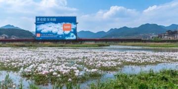 湖北鐘祥名鎮胡集:人口超10萬,磷礦資源豐富,享有“中部磷都”美譽
