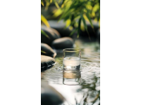 水滸傳中的竹葉青酒：究竟是什么味道？