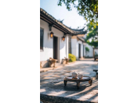 寧波周邊游：寧海前童古鎮尋年味之旅