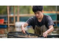 海洋的饋贈：榮成海鮮的誘人之處