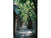 蘇州必游經典路線：拙政園、博物館到周莊古鎮一日游攻略