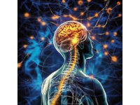 關于癲癇的這些常識你知道多少？（腦電圖、癲癇發作等詳解）