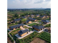 拼多多助力廣東清遠農業產業升級與品牌打造