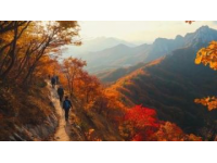 秋意濃情|阿爾山四日游：火山地貌、草原風光全收錄