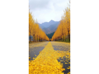 九皇山景區游玩指南：賞紅葉、美食、擼羊駝！