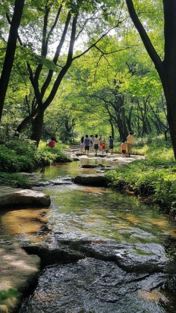 天臺山避暑季必去景區，玩水、燒烤、吃喝盡興