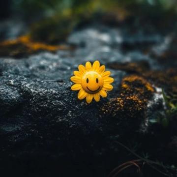 探索個性化幸福:心態與知識的力量影響人生幸福