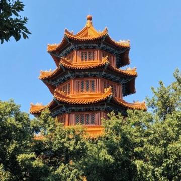 雨中探訪臨安:南屏塔、樂平美食與湍口綠道之旅
