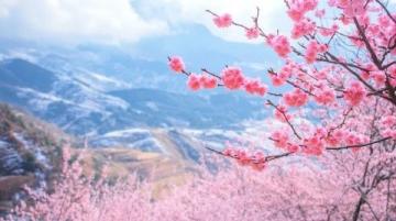 衡陽之旅:風景如畫的桃花源,古老的歷史,迷人的文化。
