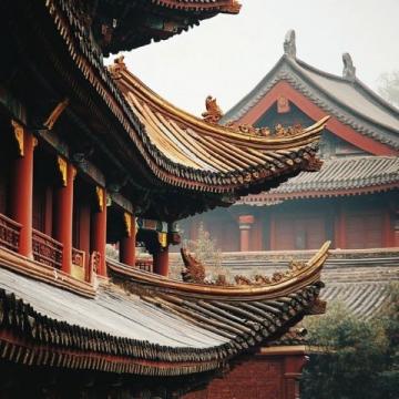 追溯古韻——揭秘中國古代十大傳統美食的歷史與風味
