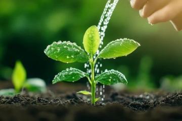 科學(xué)施肥技巧，讓作物健康成長指南