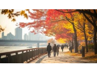 秋意盎然，武漢，充滿活力的城市，扶光露面的清晨，公園里、江邊，到處是運動的人們