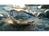 廈門海蠣煎必剪美食制作過程