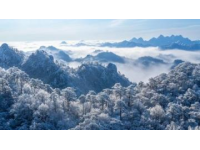 大明山萬松嶺滑雪場：搶先體驗早鳥票優惠，暢享華東最大室外高山雪域