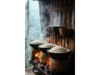 陽江五大美食(陽江美食介紹)
