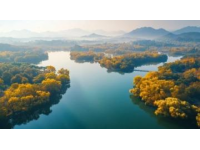南京高淳秋日之旅：沉浸在大自然的美麗中