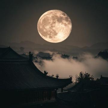 中新網廊坊1月31日電1月31日,農歷正月初三