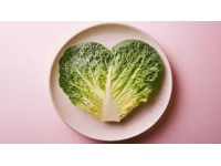 美食祈禱和戀愛：尋找內心平衡的旅程經典臺詞解析