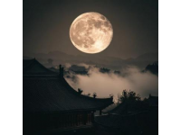 中新網廊坊1月31日電1月31日，農歷正月初三